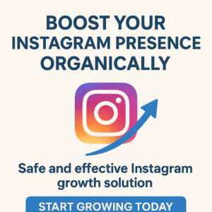 Instagram Follwers Service